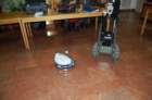 dsc_0161_small.jpg